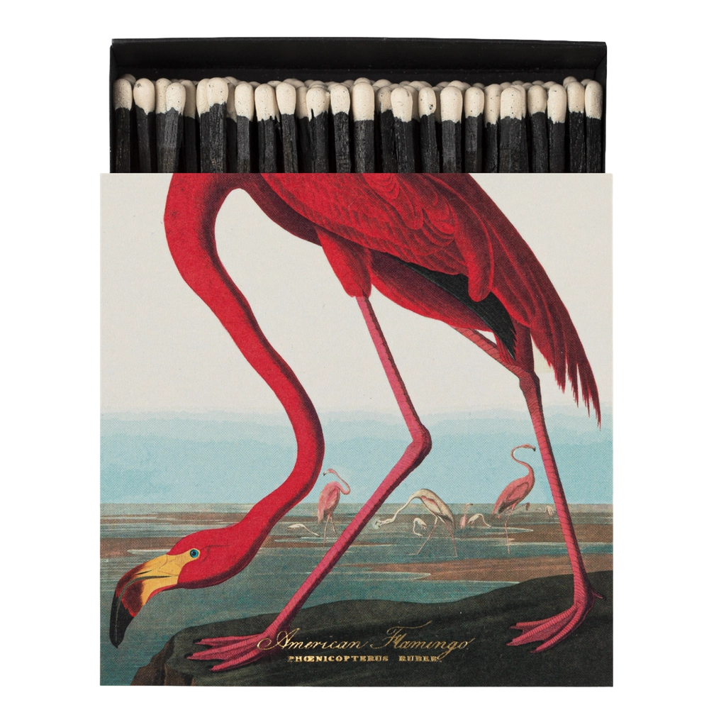 "American Flamingo' Streichhölzer, quadratisch