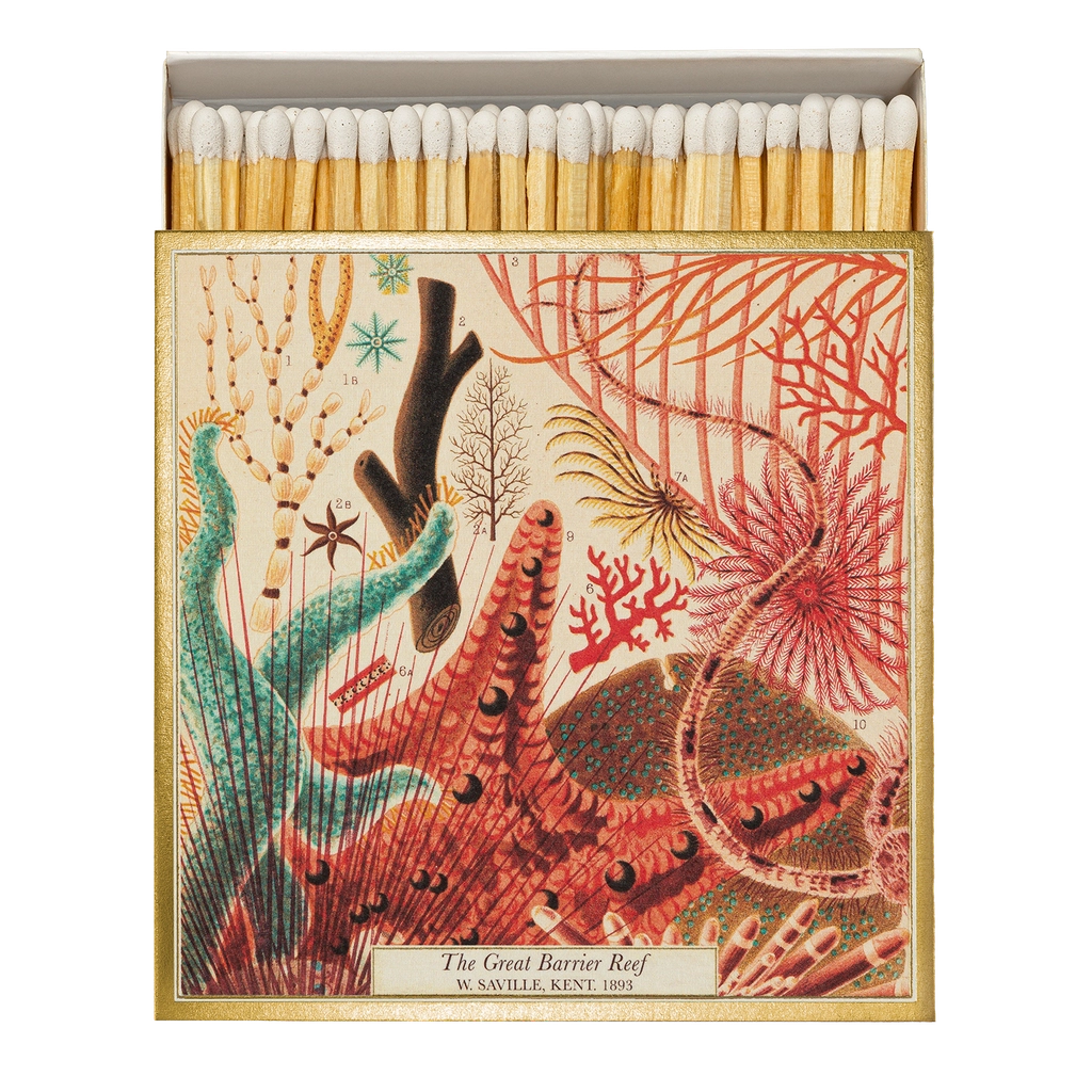 "Great Barrier Reef' Streichhölzer, quadratisch